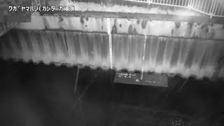 久我山橋映像監視局