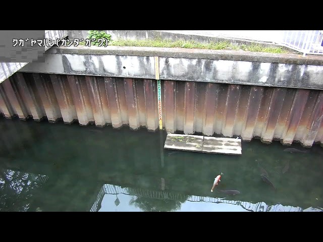 久我山橋映像監視局