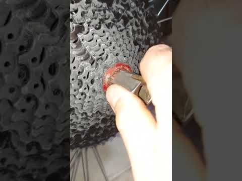 Loose Cassette? #shorts #mtb #cassette #short #bikemechanic
