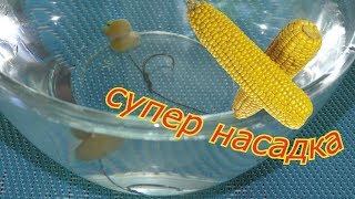 Ловля амура на волос с кукурузой