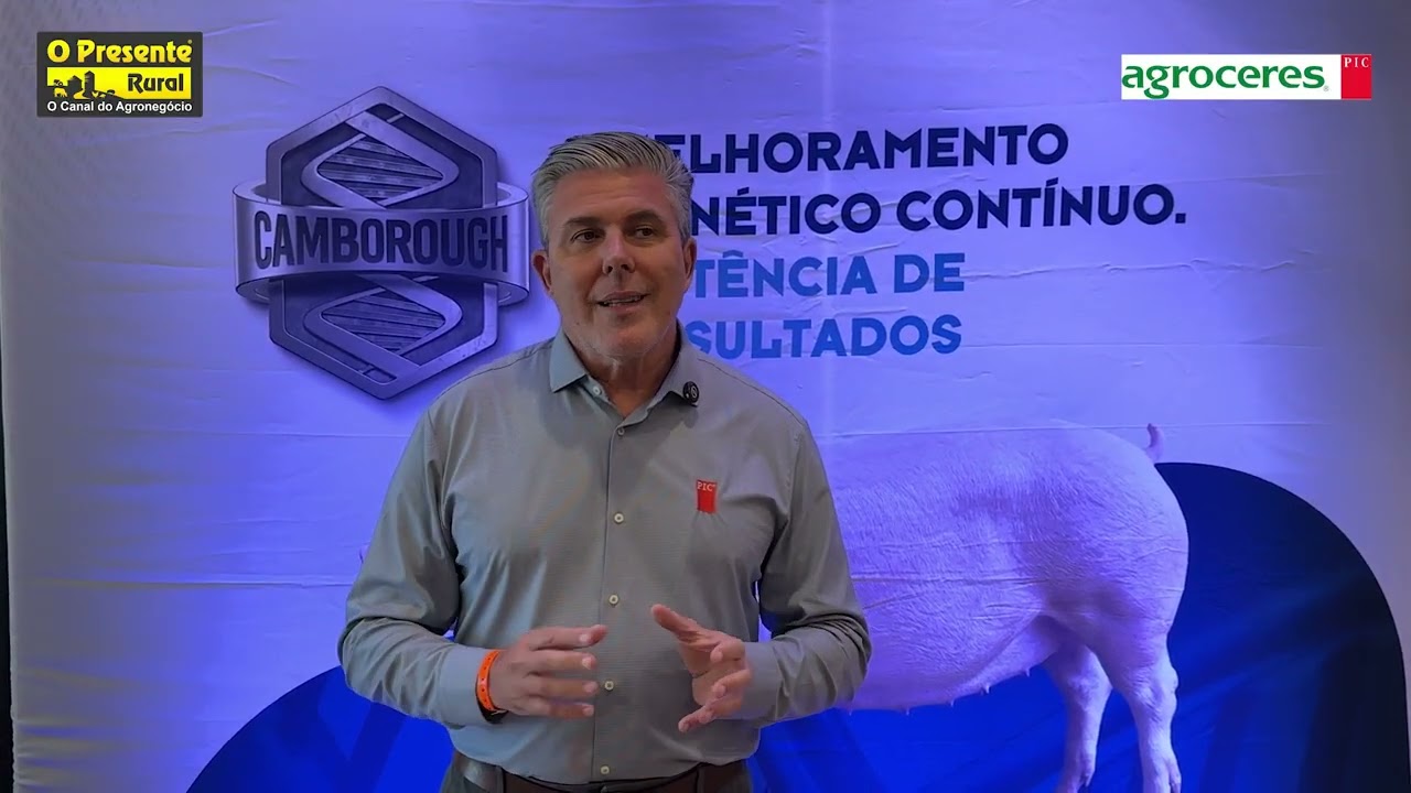 Health Summit 2026 revela onde a suinocultura pode estar perdendo desempenho