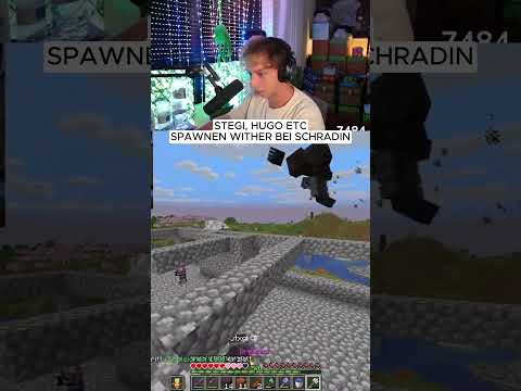 STEGI ÜBERFÄLLT SCHRADIN MIT WITHER 😂 😱