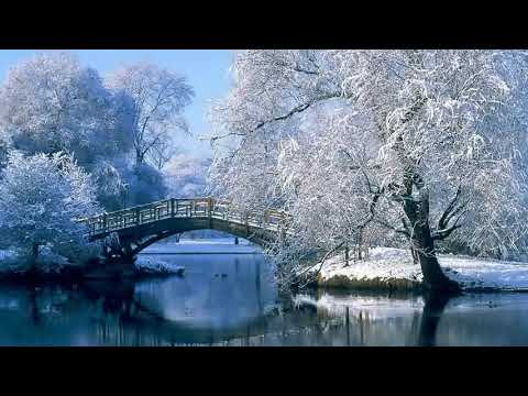 [MUSIC #38] Arc North - Meant To Be (feat. Krista Marina) [ 1 Hour Version ] (TPD Hour)