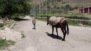 preview picture of video '터키. 마르딘. 사우르. Turkey. Mardin (Savur)'