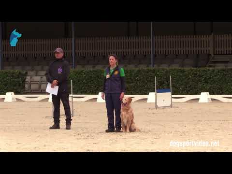 Selection - Carla Ribeiro + Doubleuse One in a Million/Golden Retriever - Portugal