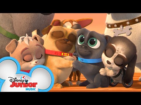 So Much To Be Grateful For | Puppy Dog Pals | @Disney Junior
