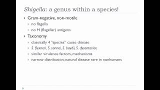 Bio305 2012 E. coli Lecture 2