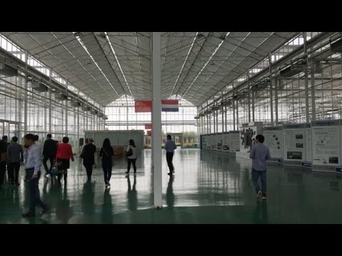 download lagu mp3 mp4 Smult, download mp3 Smult free downloadn, video klip Smult