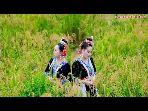 NIAM ME NTXHAIS NTSUAG BY.zuag lauj&ntxawm ntxuaj pag lauj nkauj tshiab 2020.2021