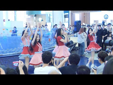 170715 엘리스 (ELRIS) 부산 롯데 광복점 팬사인회 공연 및 퇴장 직캠