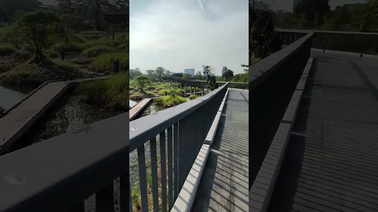 YouTube Short thumbnail