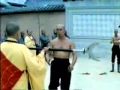 Shaolin Vs Wutang The Test