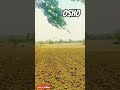 Zindagi Ke Dhoke Me Mat Aana Osho Motivational Short Motivation Osho Zindagi
