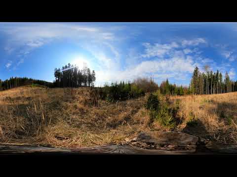 Sorizzo - Forest Fields [360]