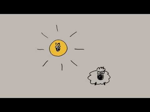 LEBENSGFYHL – SCHEN