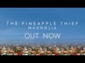 The Pineapple Thief - Magnolia (quotes trailer) 