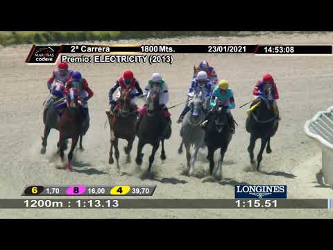 210123 c02 MAXIMUS JOY (ARG)