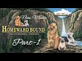Homeward Bound Part 1 Hollywood Movies Comedy Movies Dogs Cat Fun Filled Movies