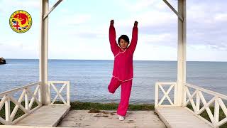 Master Faye - Health Qigong Daoyin Yang Sheng Gong 12 Fa