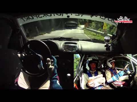Rally Alta Val di Cecina 2015  Gualandi - Bernardi  Renault Clio Rs N/3