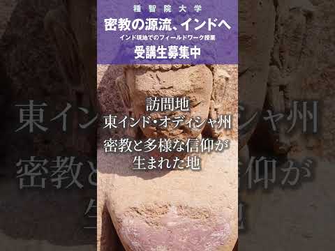 聖地で学ぶ、インド密教の原点。受講生募集中！ #聖地巡礼 #ツアー #大学の授業 #世界遺産