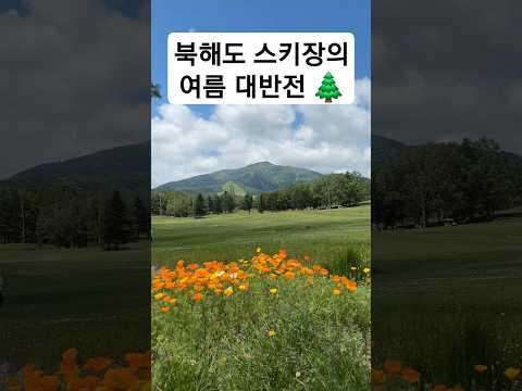 매혹적인 봄밤의 시작: 그대와의 첫 순간