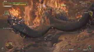【モンハンワイルズ】配信０５