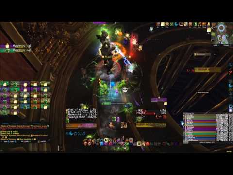 World of Warcraft: [Heroic] Tomb of Sargeras Maiden of Vigilance ( Feral PoV )