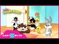 Baby Looney Tunes All Washed Up Cartoonito