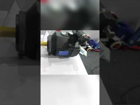 Piston Assembly