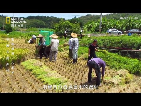 守護石虎系列––石虎米《國家地理》雜誌