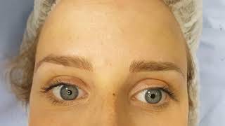 Healed Realism Microblading 1 session by El Truchan @ Perfect Definition
