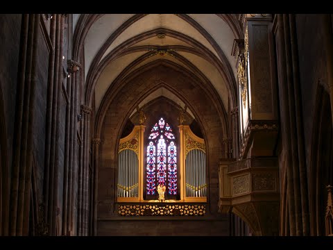 J.S. Bach: Passacaglia c-Moll BWV 582 (Freiburger Münster)