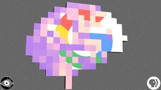 Google Owns 28% of Your Brain