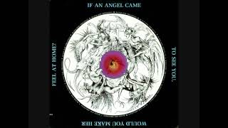 Black Oak Arkansas:-'Full Moon Ride'
