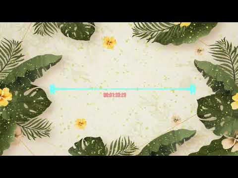 Youngg Ricardo - Tequila ou Gin feat. Edvan Allen, Helio Beatz & DJ Supaman (Visualizer)