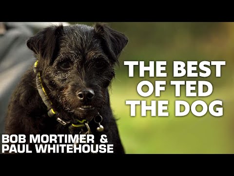 The Best of Ted The Dog | Gone Fishing | Bob Mortimer & Paul Whitehouse