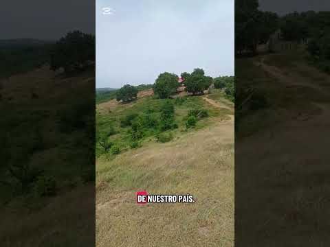🌿 Montes de María | El Carmen de Bolívar | Un paisaje que enamora 🇨🇴