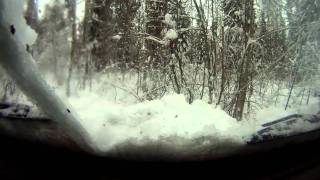 preview picture of video 'Land Rover Defender In Winter Forest'