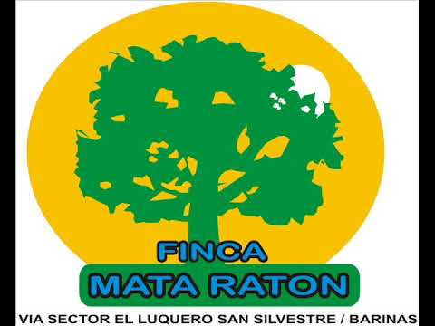 FRANCISCO FICO VILLAFAÑE YO SOY PARIENTE DE QUIRPA