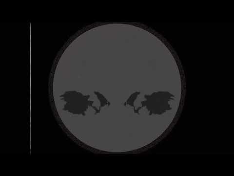 THE COLD VEIN - the flimflam man [visualizer]