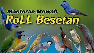 Download lagu MATERI ROLL BESETAN‼️Masteran Mudah Masuk#masteranburung #masteranjernih mp3 Download lagu MATERI ROLL BESETAN‼️Masteran Mudah Masuk#masteranburung #masteranjernih mp3