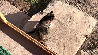 Yine  miniklerimle başbaşa kaldık