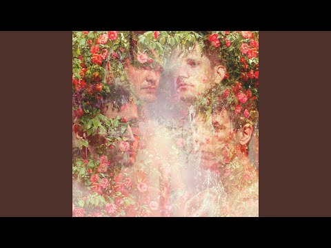 Isea video