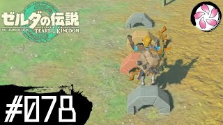 【ティアキン＃78】凡人が行く龍泪旅