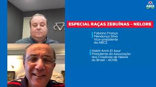 Miniatura do vídeo
