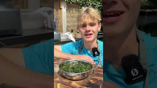 Cal Cooks -Abula