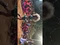 Poradada Song In Karrakatam