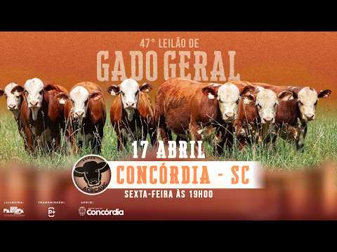 47° Leilão de Gado Geral, CONCÓRDIA/SC - 17/04/2026 19h