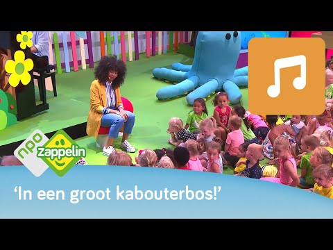 ONDER HELE HOGE BOMEN | Kinderliedjes zingen met Fenna | NPO Zappelin